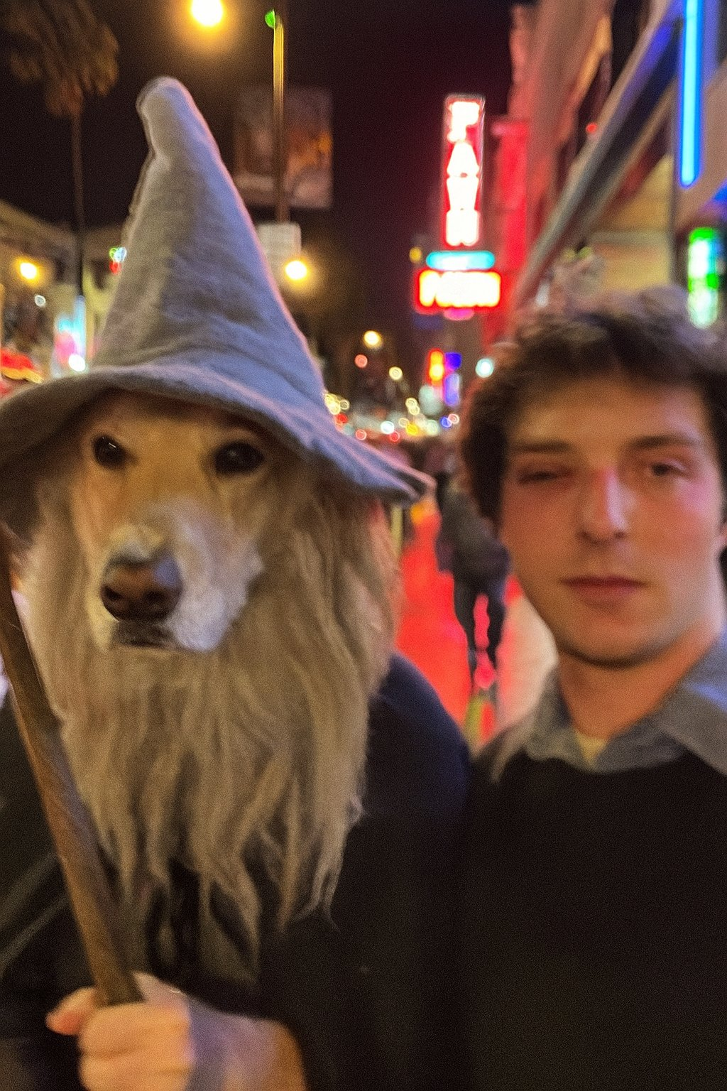 LexaproTrader's profile picture